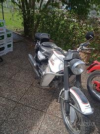 Moto Guzzi Nuovo Falcone 500 - 1971