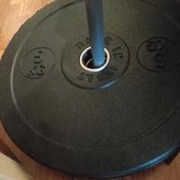 coppia dischi bumper 5 kg