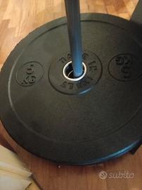 coppia dischi bumper 5 kg