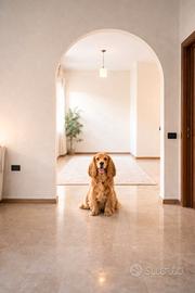 Bilivello di pregio con giardino e garage doppio