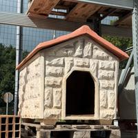 Cuccia in Muratura per Cani