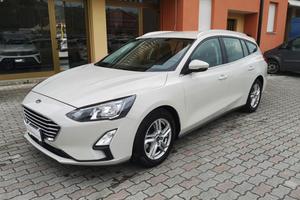 FORD Focus 1.5 EcoBlue 120 CV automatico SW Busi