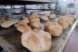 Attività di panetteria