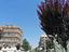 Immagine 15