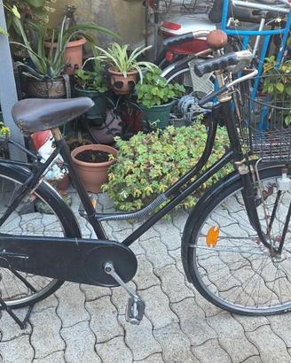 Bicicletta vintage Charleston