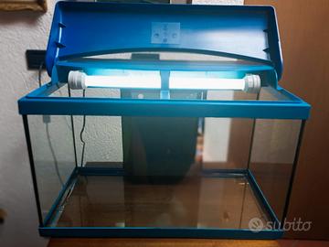 Acquario