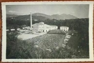 fotografia segheria avellino FOTO ARTE 1940(3/3)