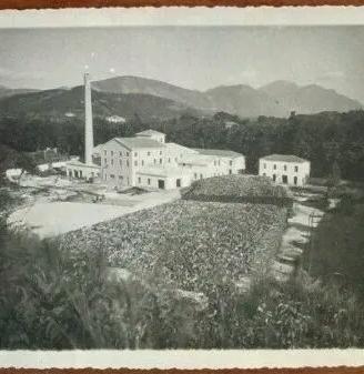 fotografia segheria avellino FOTO ARTE 1940(3/3)