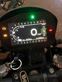 Benelli leoncino