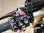 Immagine 8