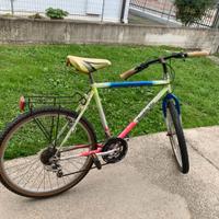 BICICLETTA MOUNTAIN BIKE