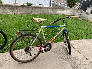 BICICLETTA MOUNTAIN BIKE