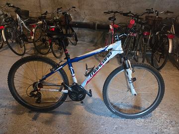 Bicicletta Mountain Bike 