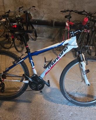 Bicicletta Mountain Bike 
