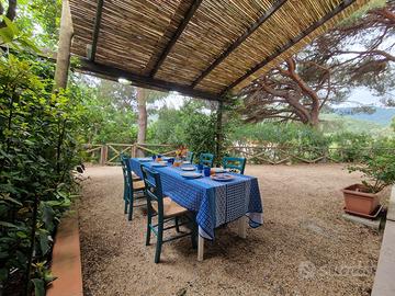 LAST MINUTE 1000 trilocale a Lacona , Isola d'Elba