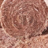 Balloni di foragggio