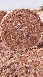 Balloni di foragggio