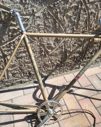 telaio bici Frejus Torino ,tour de France 