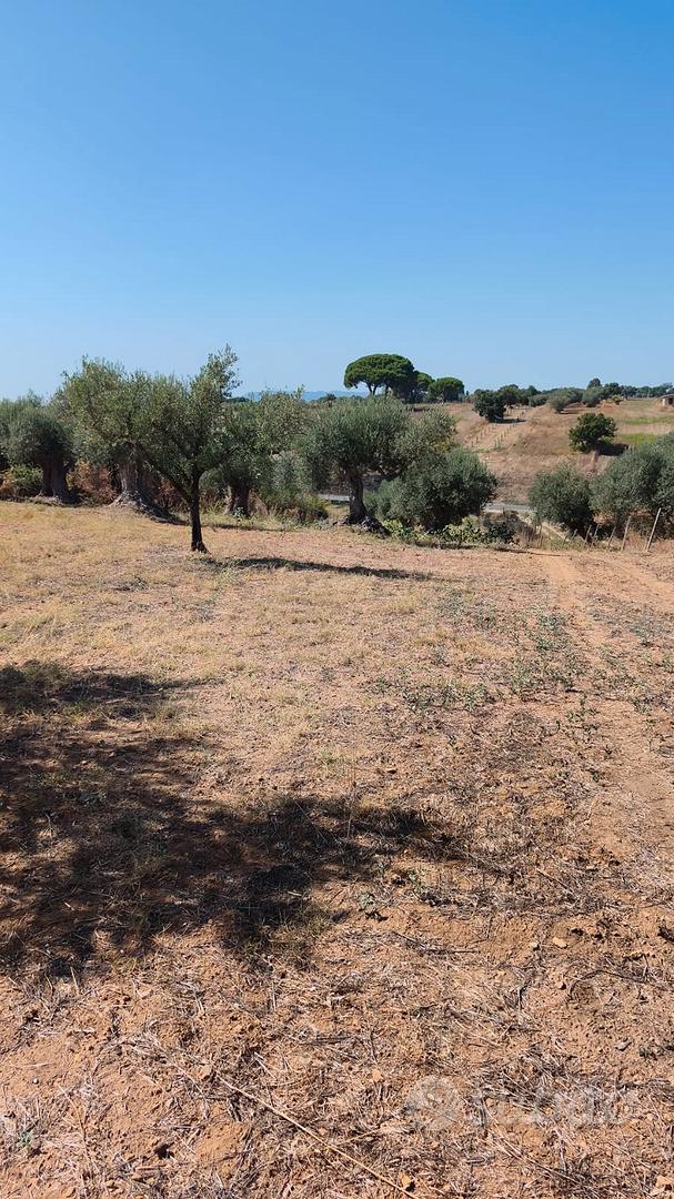 terreno agricolo - Vista 3