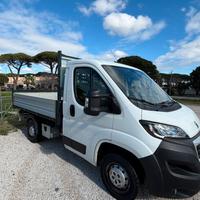 Peugeot Boxer cassonato ribaltabile