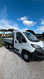 Peugeot Boxer cassonato ribaltabile