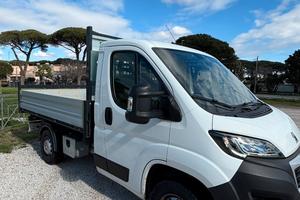 Peugeot Boxer cassonato ribaltabile
