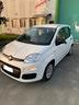 fiat-panda-1-0-firefly-s-s-hybrid-easy