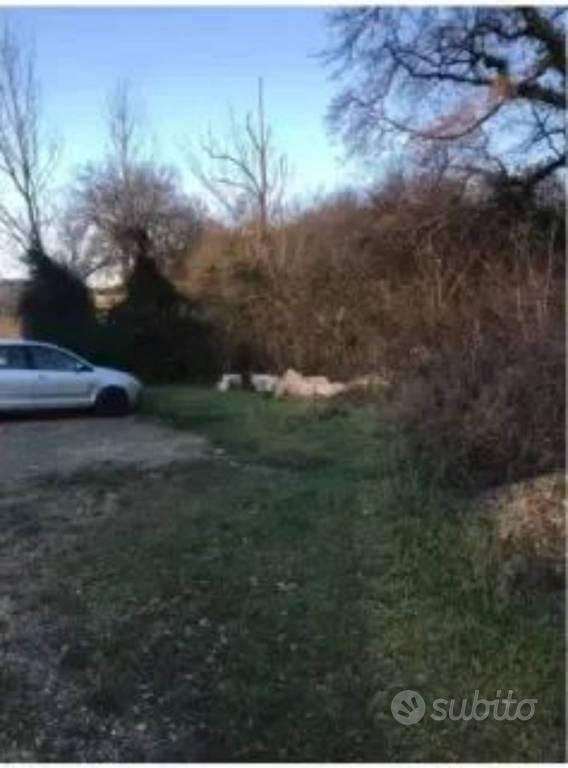 Immobile in asta di 607 m² a Poggibonsi - Vista 2