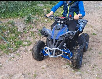 Mini quad 50