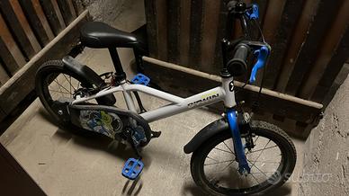Bicicletta