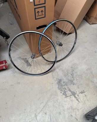 Coppia ruote DT SWISS R460