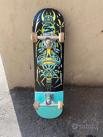 Skate board
