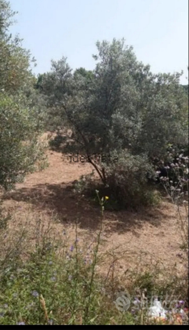 Terreno in Santa Tecla di Montecorvino Pugliano - Vista 5