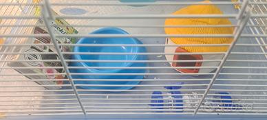 gabbietta per criceto 