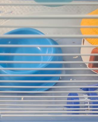 gabbietta per criceto 