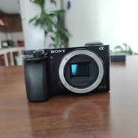 Sony a6000 + lente kit Solo 1839 scatti