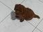 Immagine 3