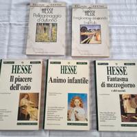 Lotto libri Hermann Hesse 100 pagine Newton 100