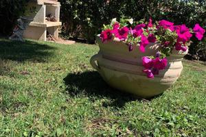 Casa vacanze vista mare