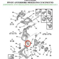 Silent Block Nuovi Anteriori Citroen C5