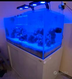 ACQUARIO MARINO TROPICALE 400L