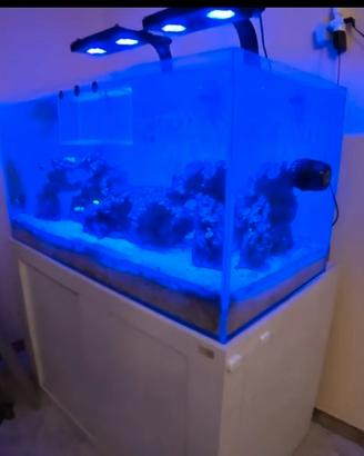 ACQUARIO MARINO TROPICALE 400L