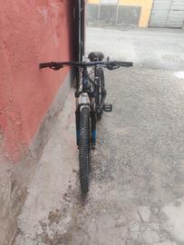 Bergamount revox 5
