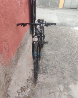 Bergamount revox 5