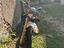 Immagine 2