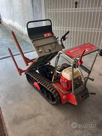 Motocarriola Benassi MT 500