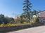 Immagine 19
