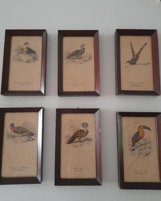Piccole stampe vintage 