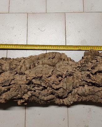 sughero corteccia