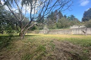 TER. AGRICOLO A TORINO